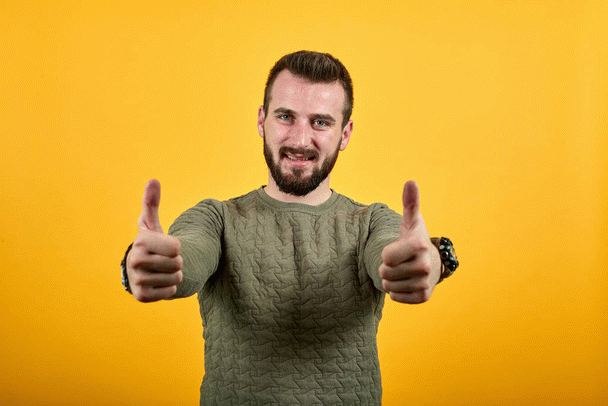 علت موفقیت اینفلوئنسرها و حیوانات خانگیشان چیست؟ 14 دلیل